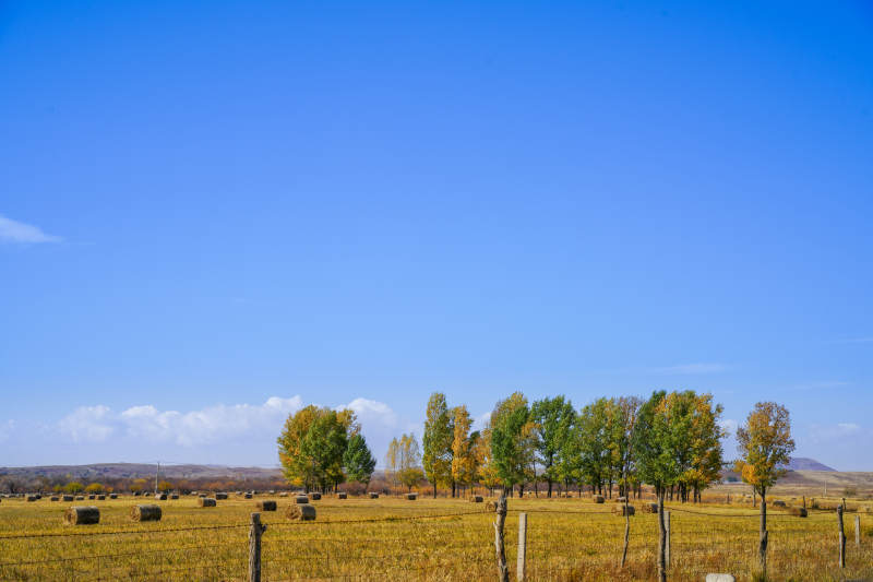 内蒙秋日田野风光图片