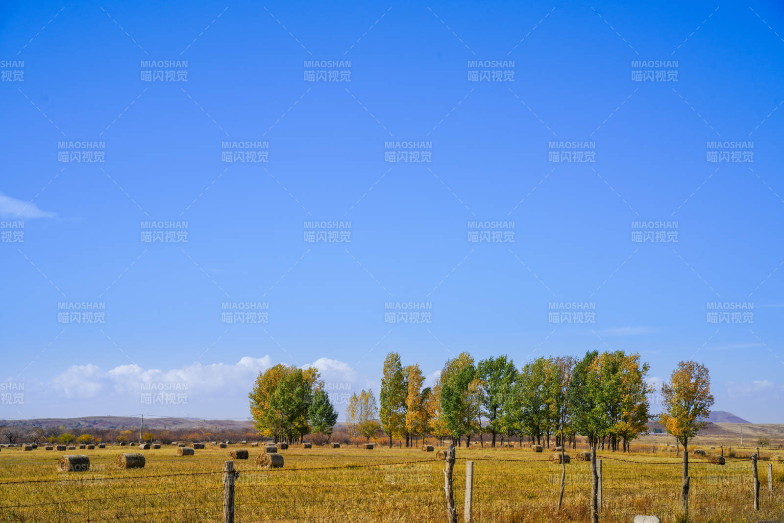 内蒙秋日田野风光图片