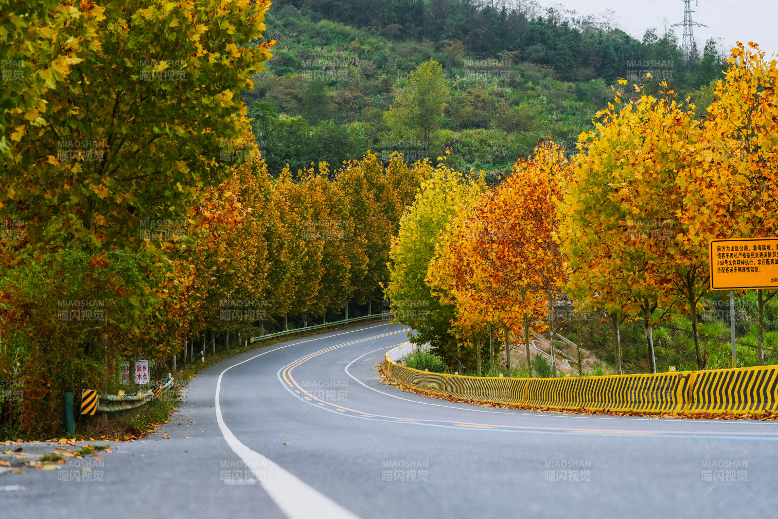 秋日公路美景图片