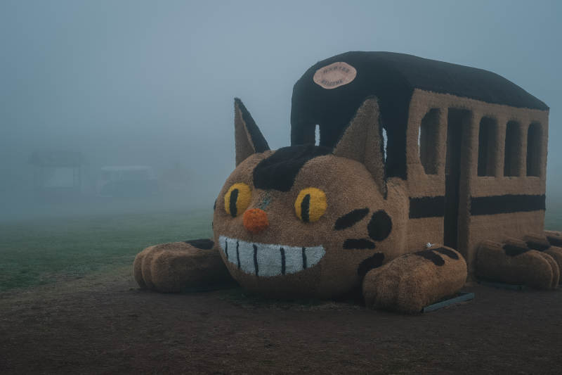 雾中猫巴士图片