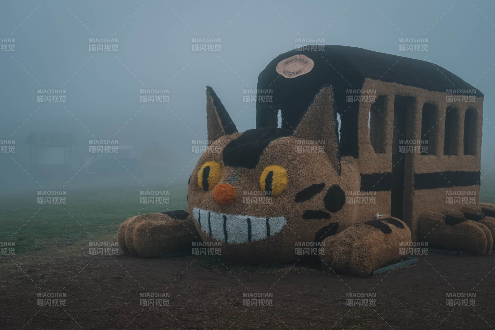 雾中猫巴士图片