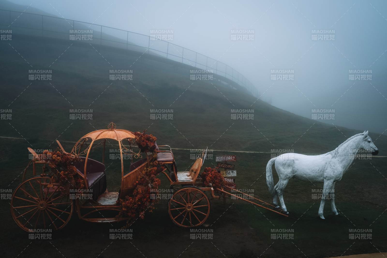雾中马车静立图片