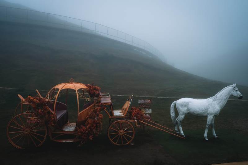 雾中马车静立图片