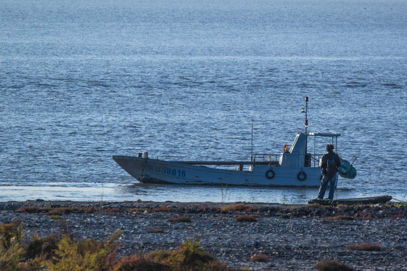 瓯江口海思公园图片