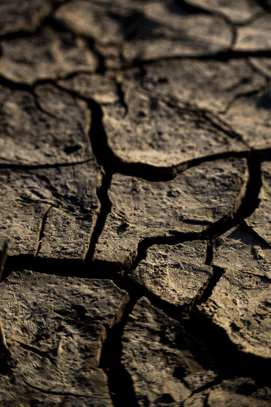 干裂的土地图片