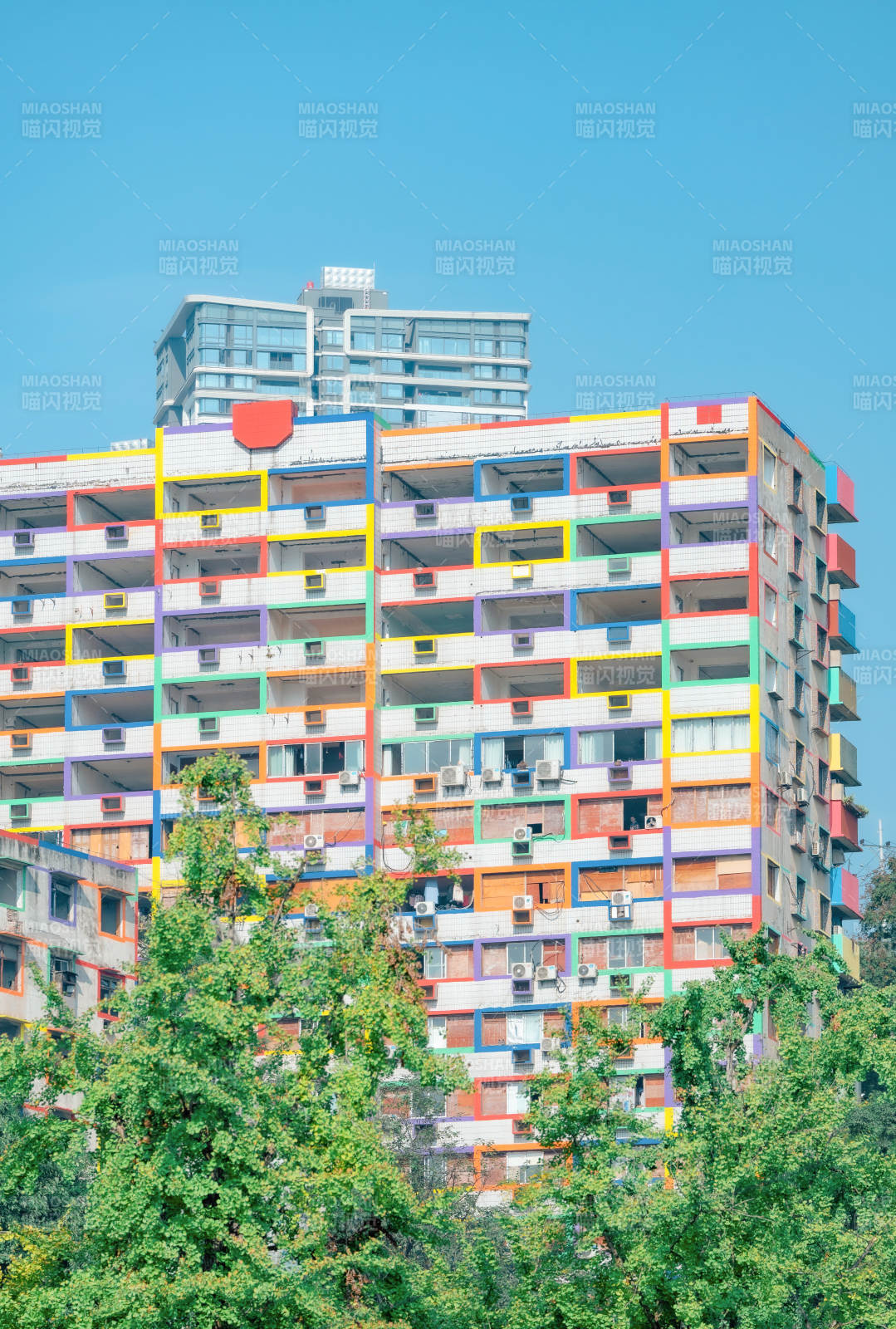 彩虹楼前绿树成荫图片