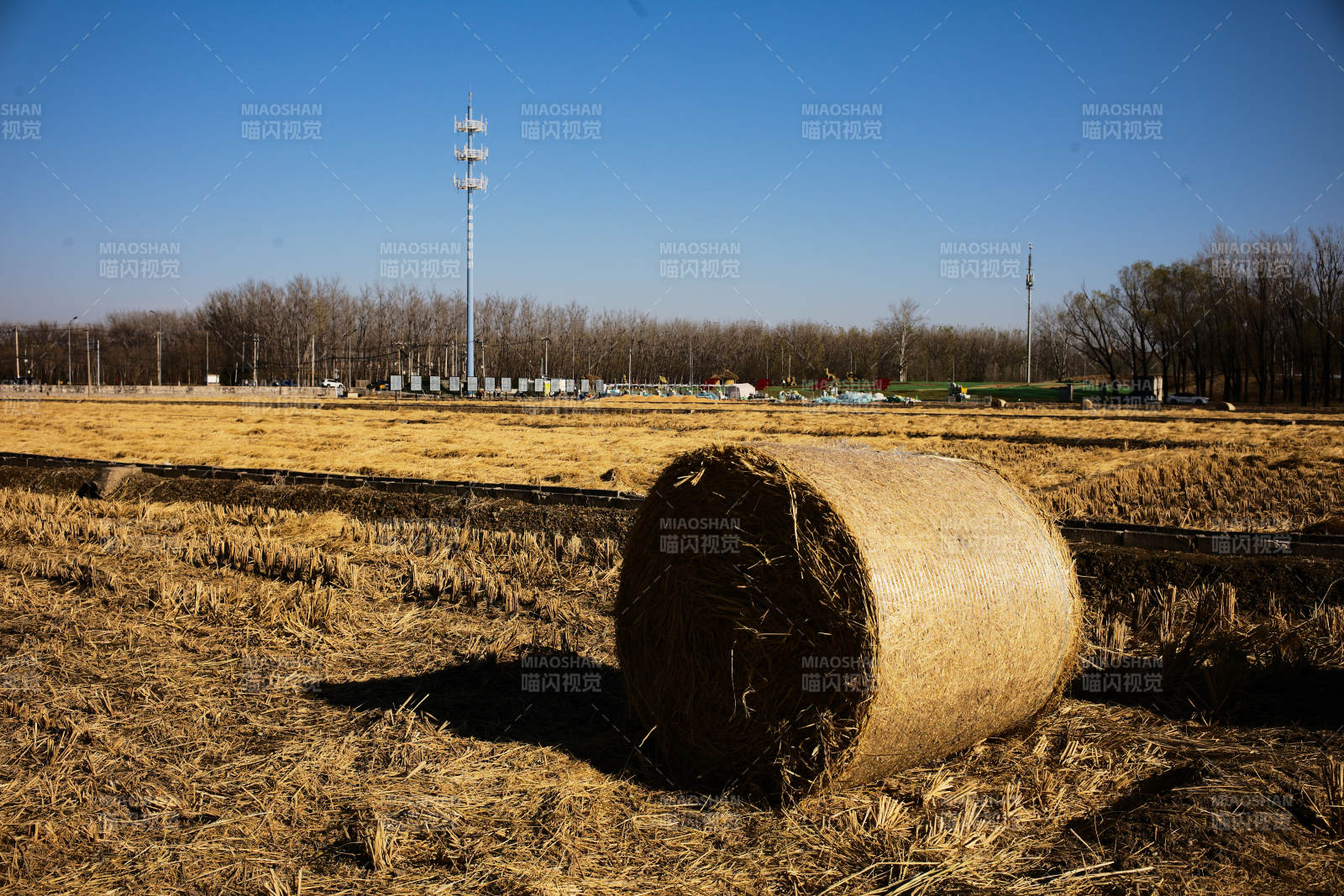 金秋田野草垛图片