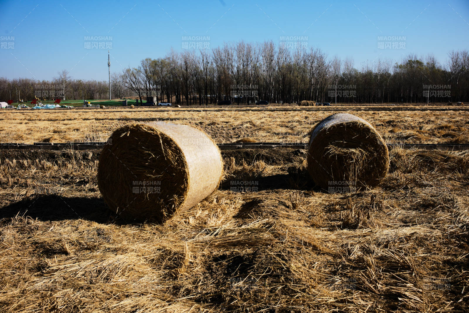 金秋田野草垛图片