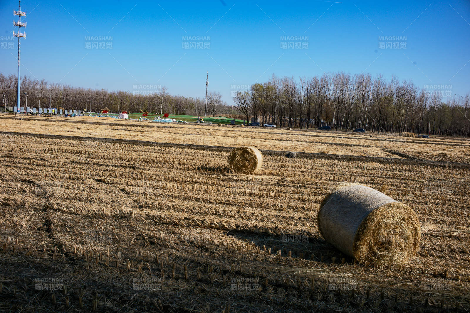 田野上的草垛图片