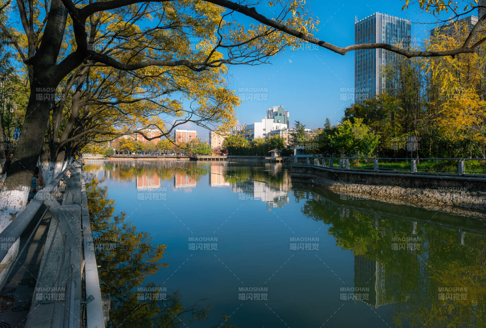 昆明大观河河畔风光图片