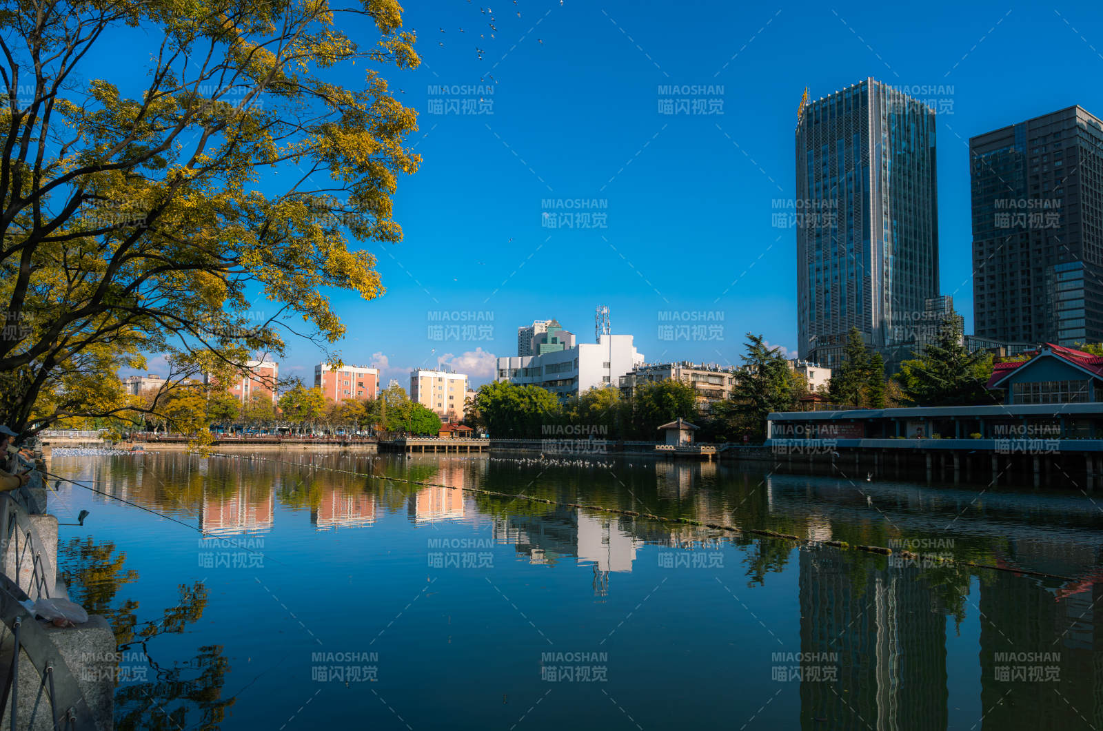 早晨的昆明大观河河畔城市倒影图片