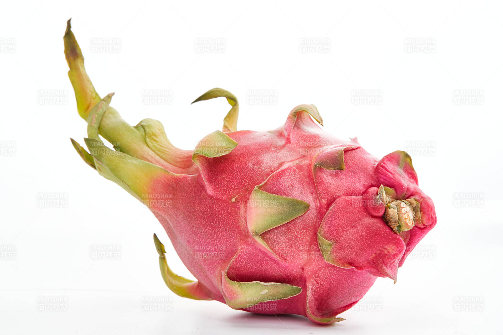 白色背景上摆放的新鲜火龙果图片