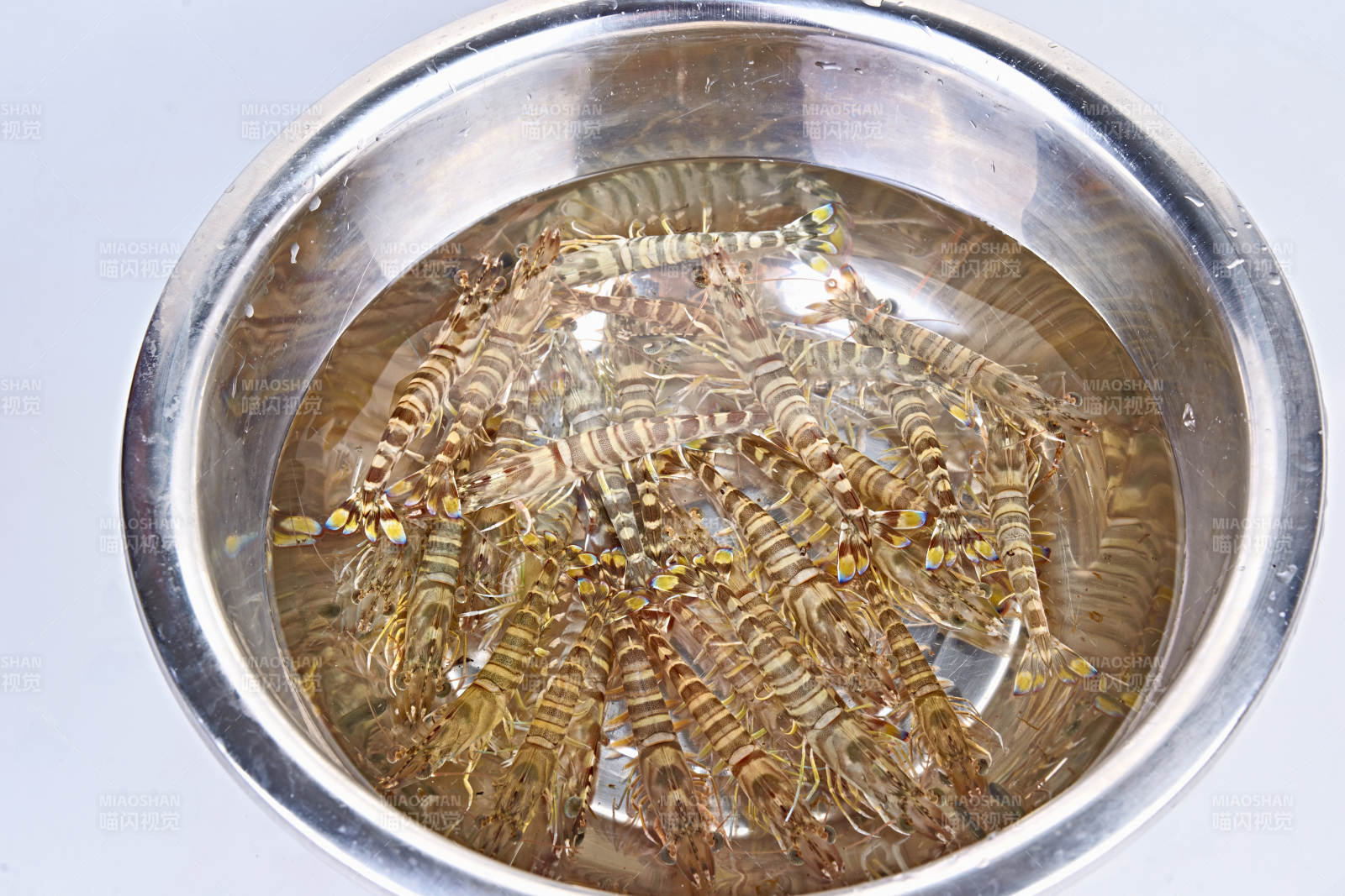 鲜活基围虾图片