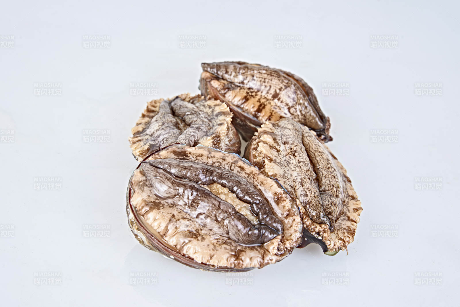 鲜活大鲍鱼图片