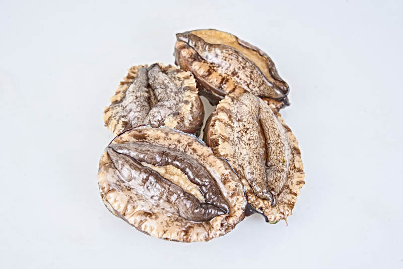 鲜活大鲍鱼图片