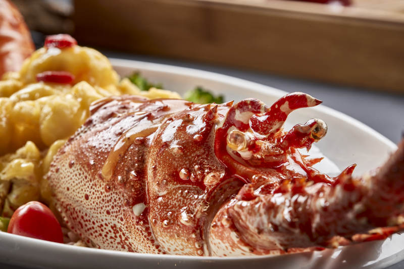 高级海鲜芙蓉炒澳洲大龙虾图片