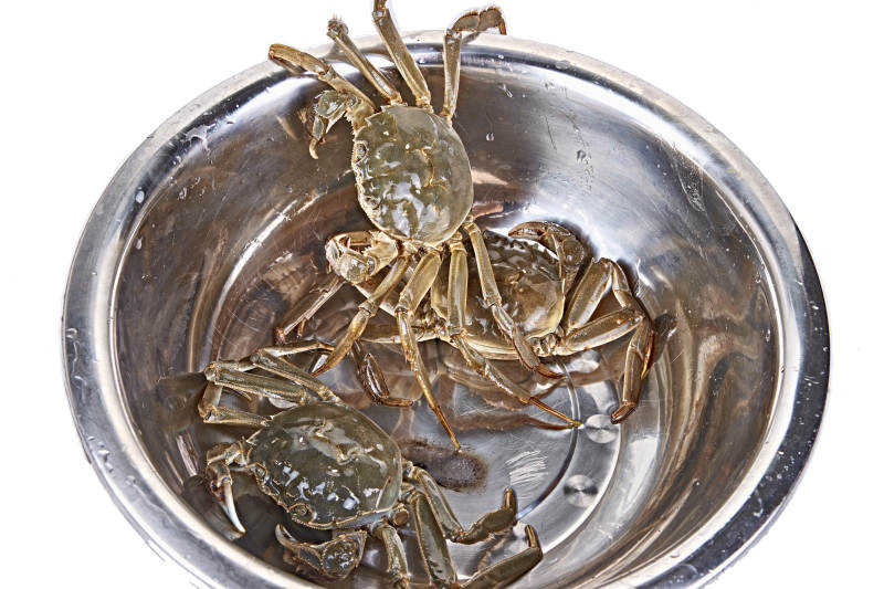 鲜活大闸蟹图片