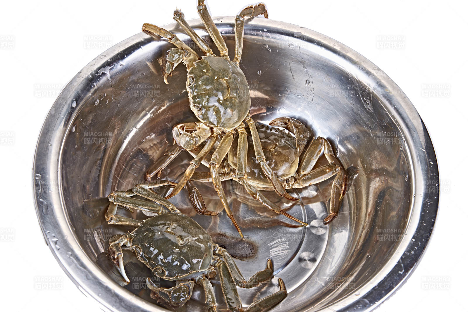 鲜活大闸蟹图片