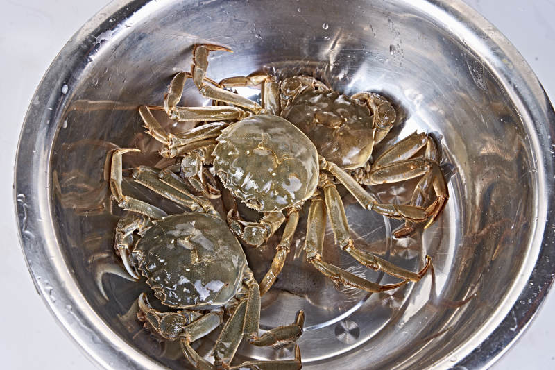 鲜活大闸蟹图片