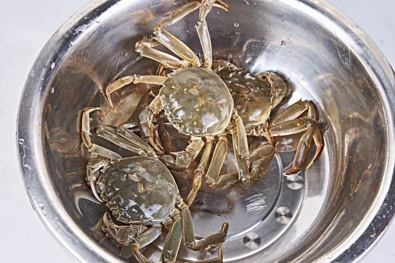 鲜活大闸蟹图片