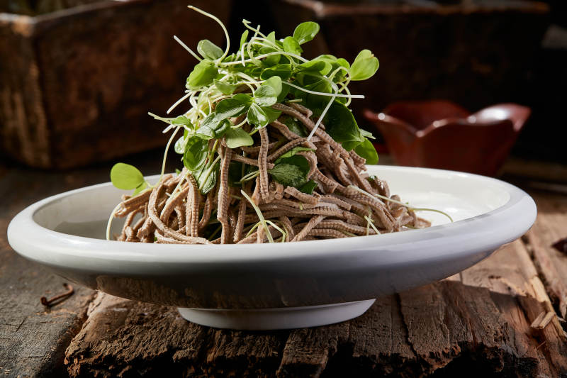 香椿苗凉拌烟熏黑豆腐丝图片