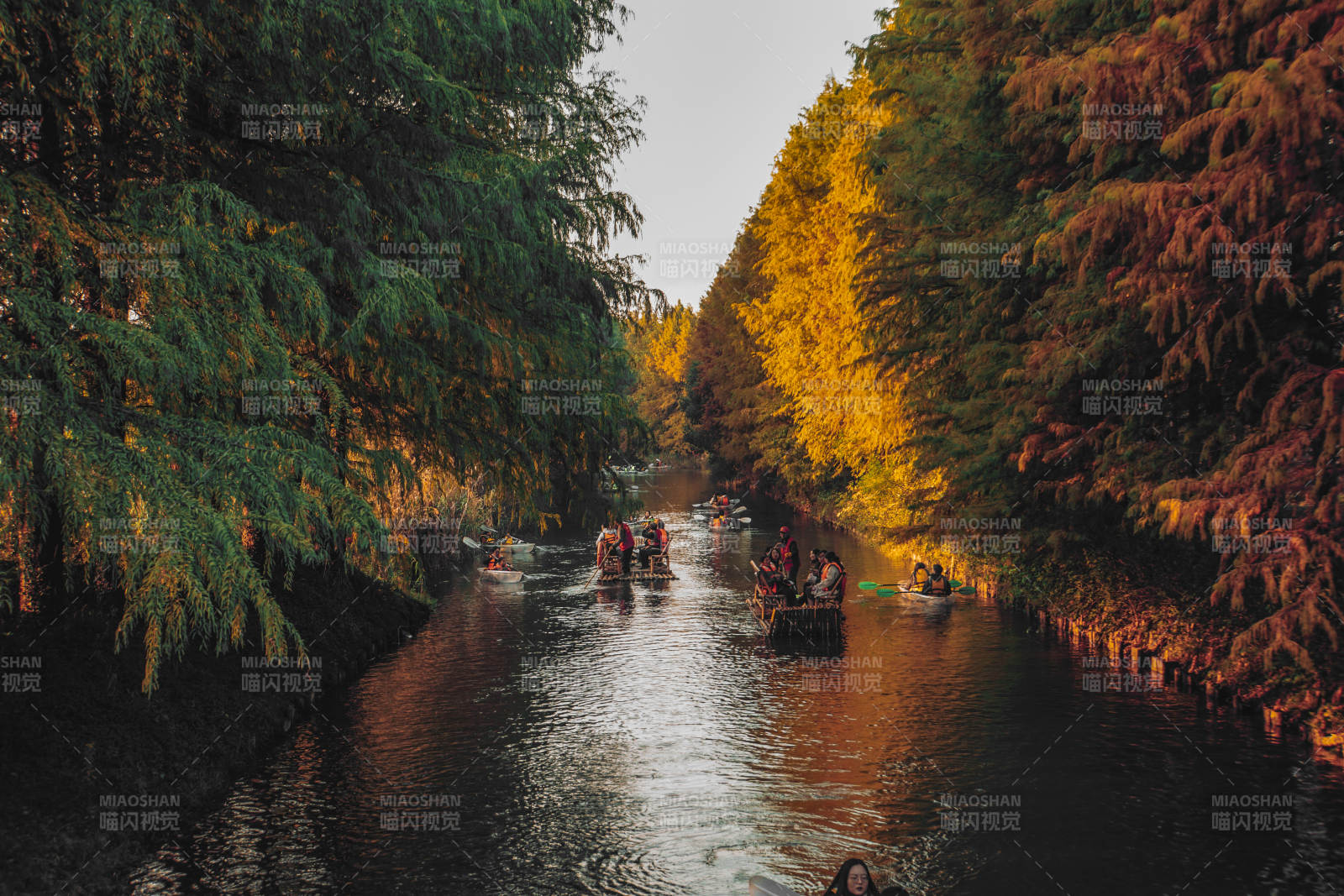 秋林行舟图片