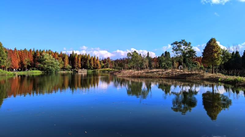 湖光秋色美如画 昆明海洪湿地公园风光图片