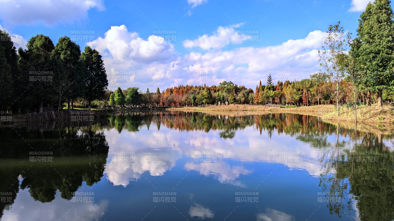 湖光云影秋色美 昆明海洪湿地公园风光图片