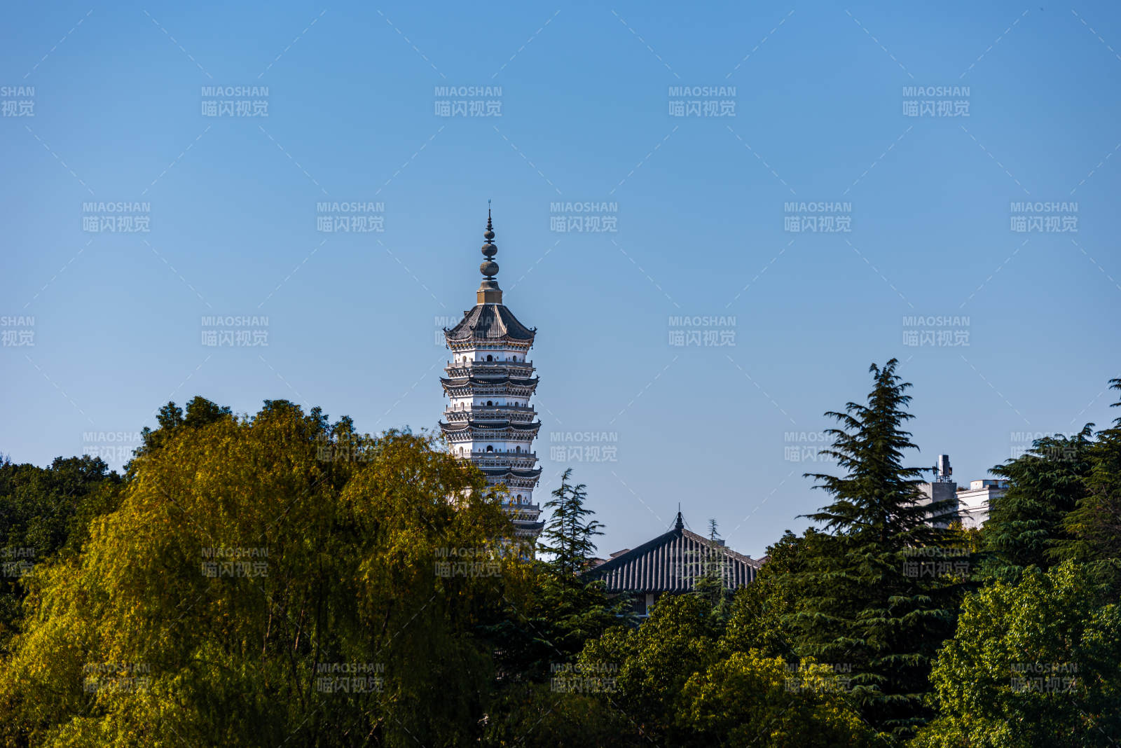 古塔林间耸立振风塔图片