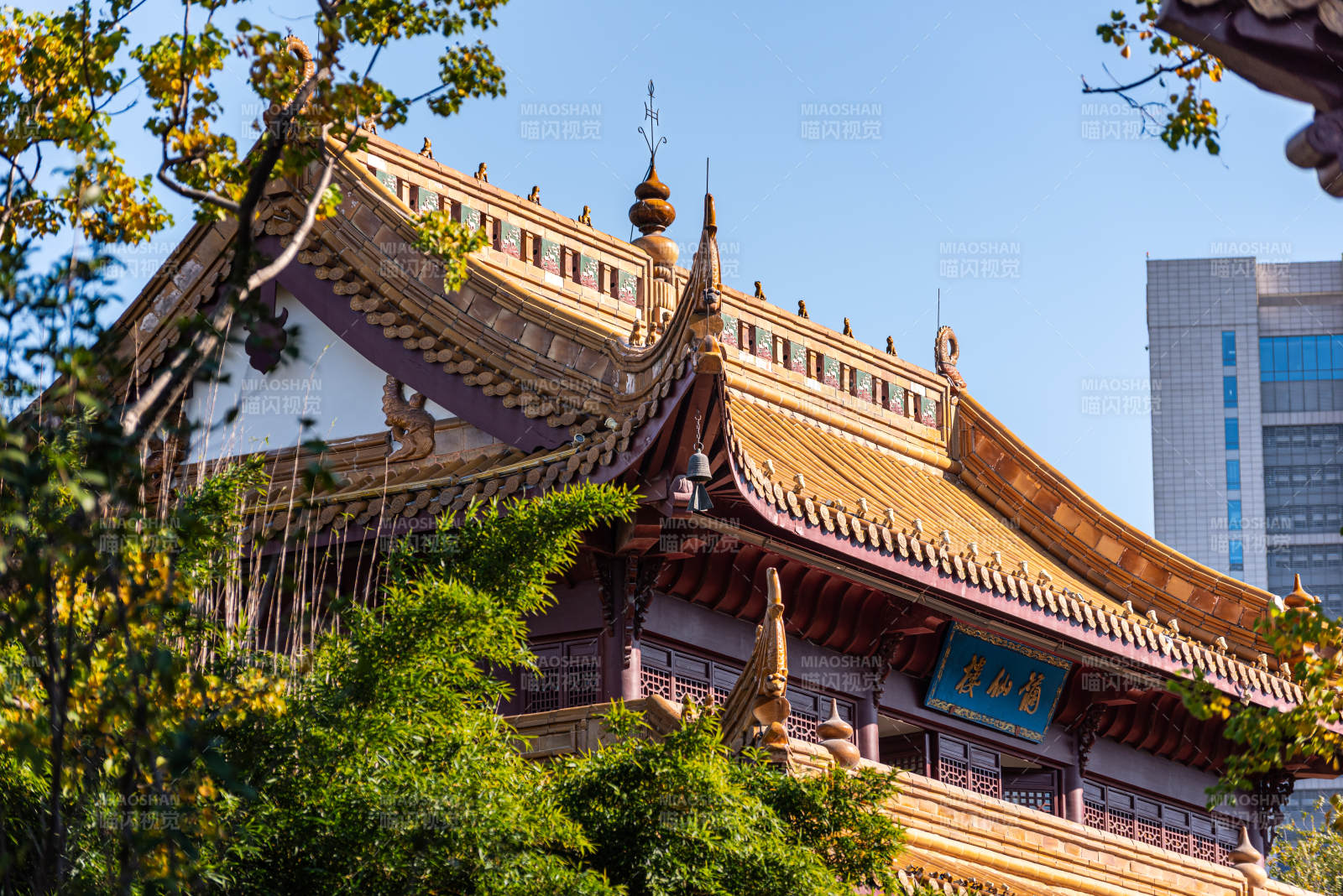 古寺飞檐映蓝天徽园菊仙楼图片