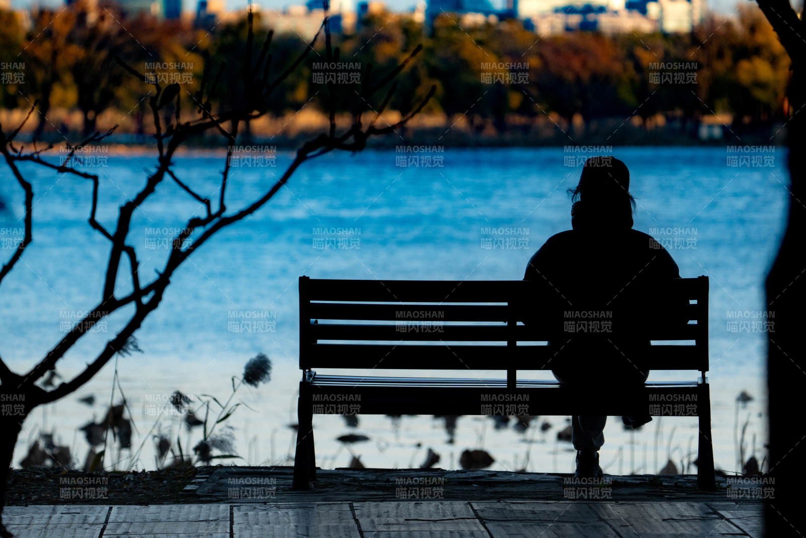 湖畔静坐图片