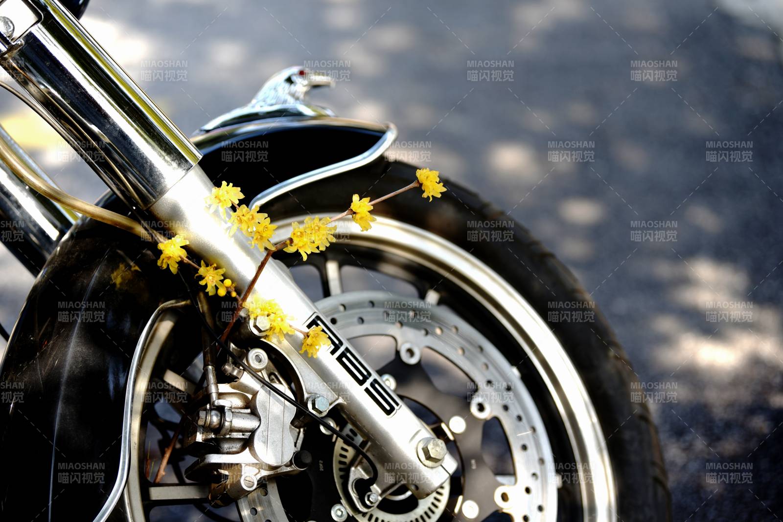 摩托车上的小黄花图片