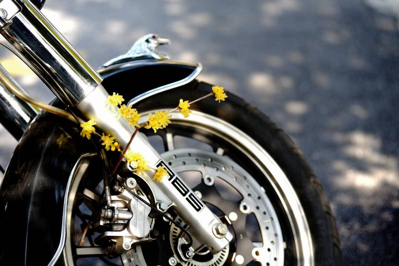 摩托车上的小黄花图片