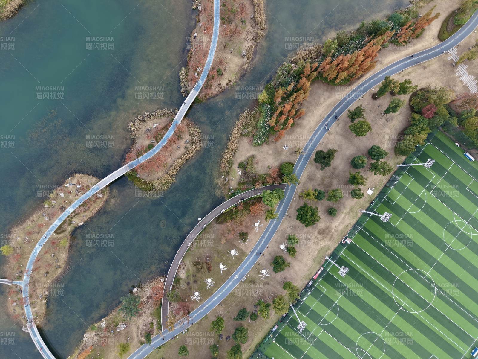 湖畔绿道航拍图（街拍）图片