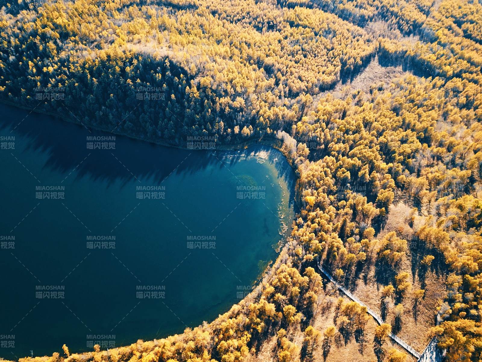呼伦贝尔秋湖林影图片