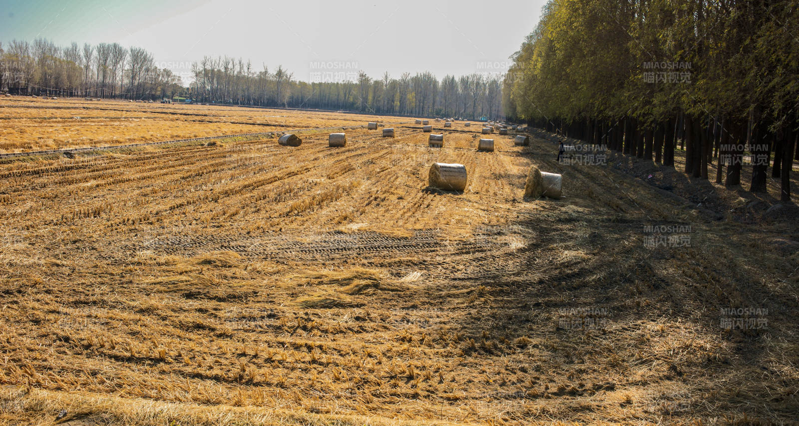 金秋田野风光图片