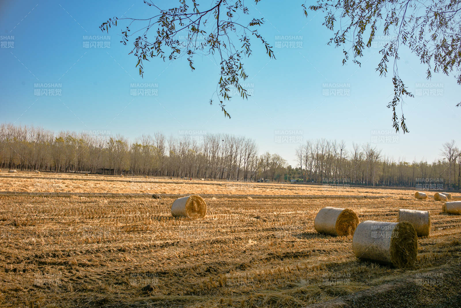 金秋田野草垛图图片