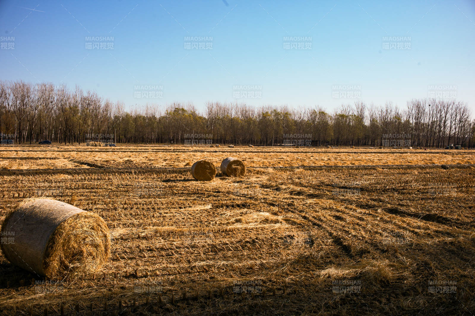 海淀稻香花海—金秋田野草垛图片