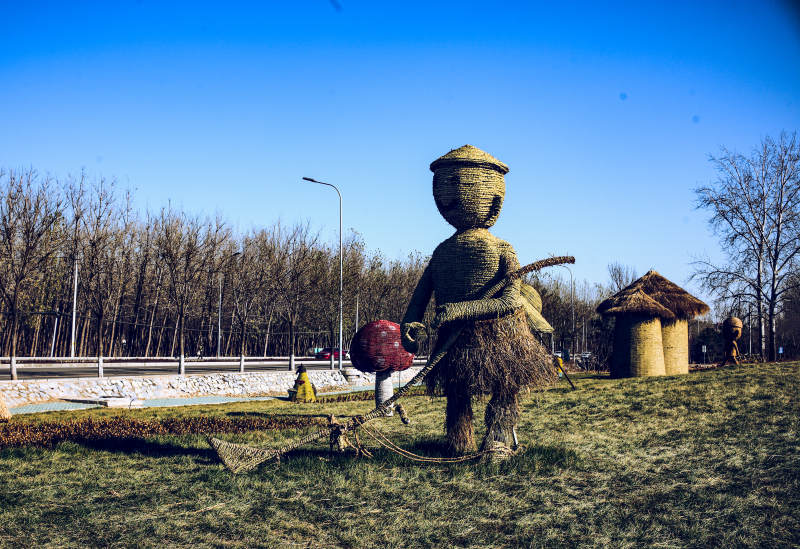 海淀稻香花海—稻草人守望田野图片