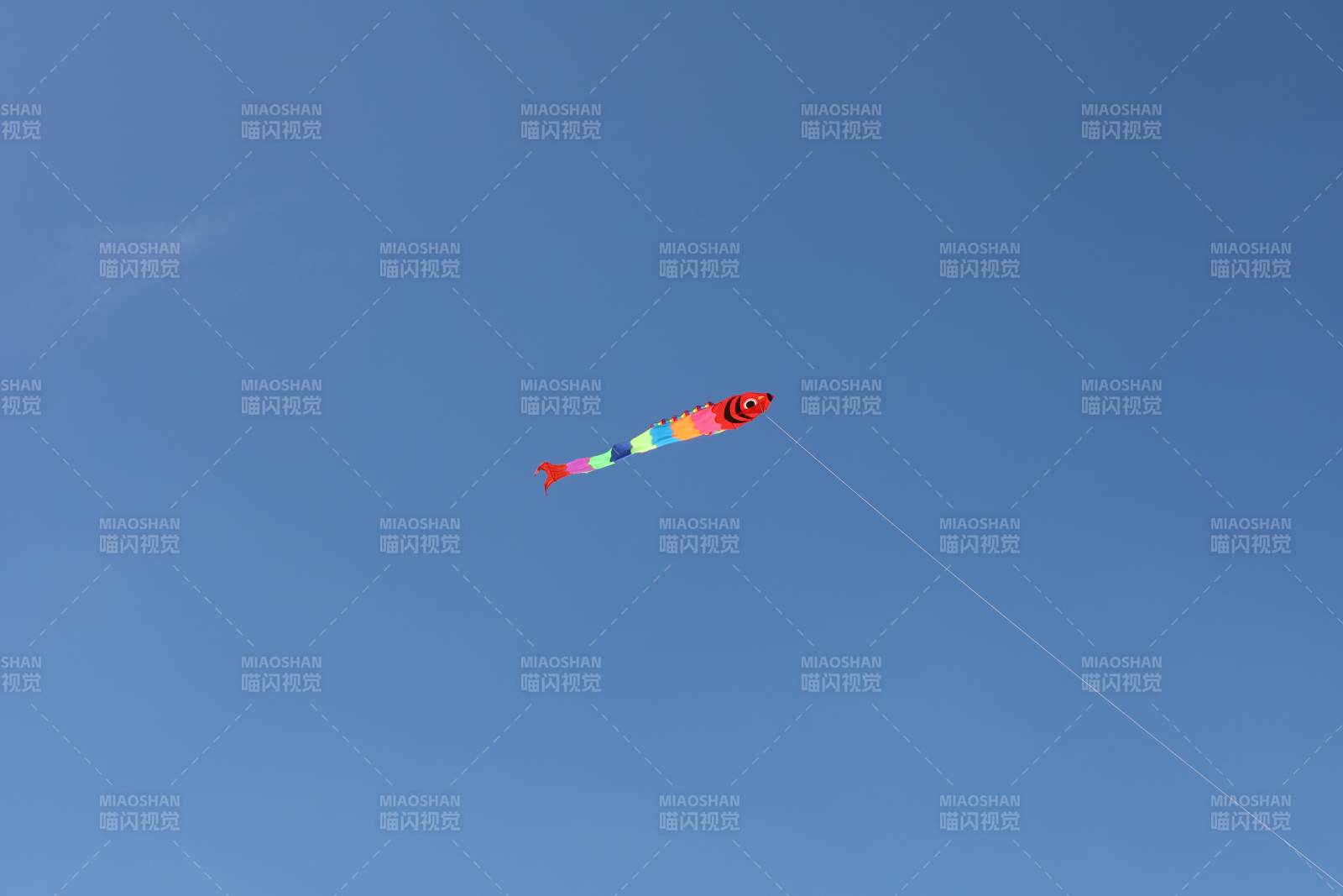 彩鱼风筝飞蓝天图片