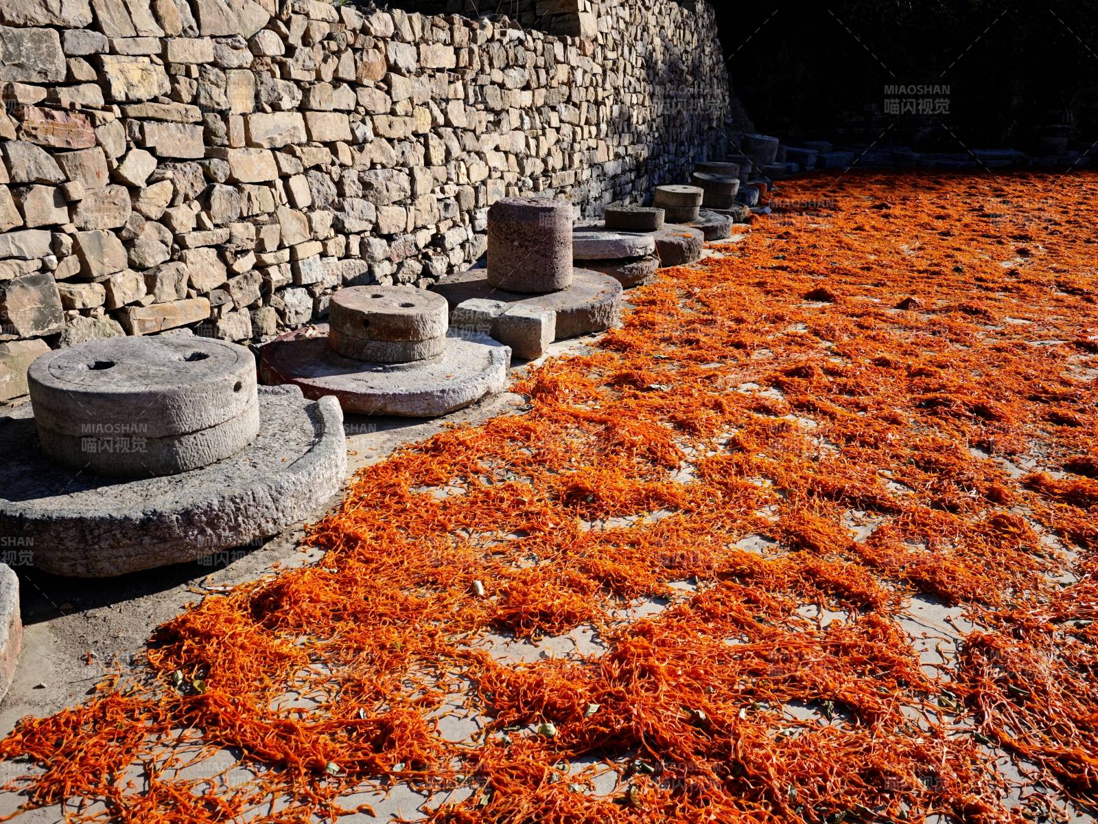 石磨旁的橙色花海图片