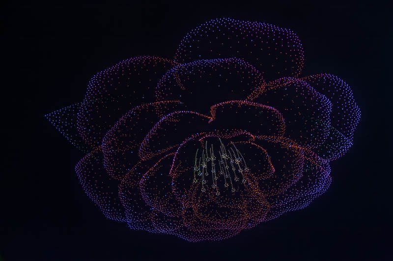 无人机光点玫瑰绽放图片