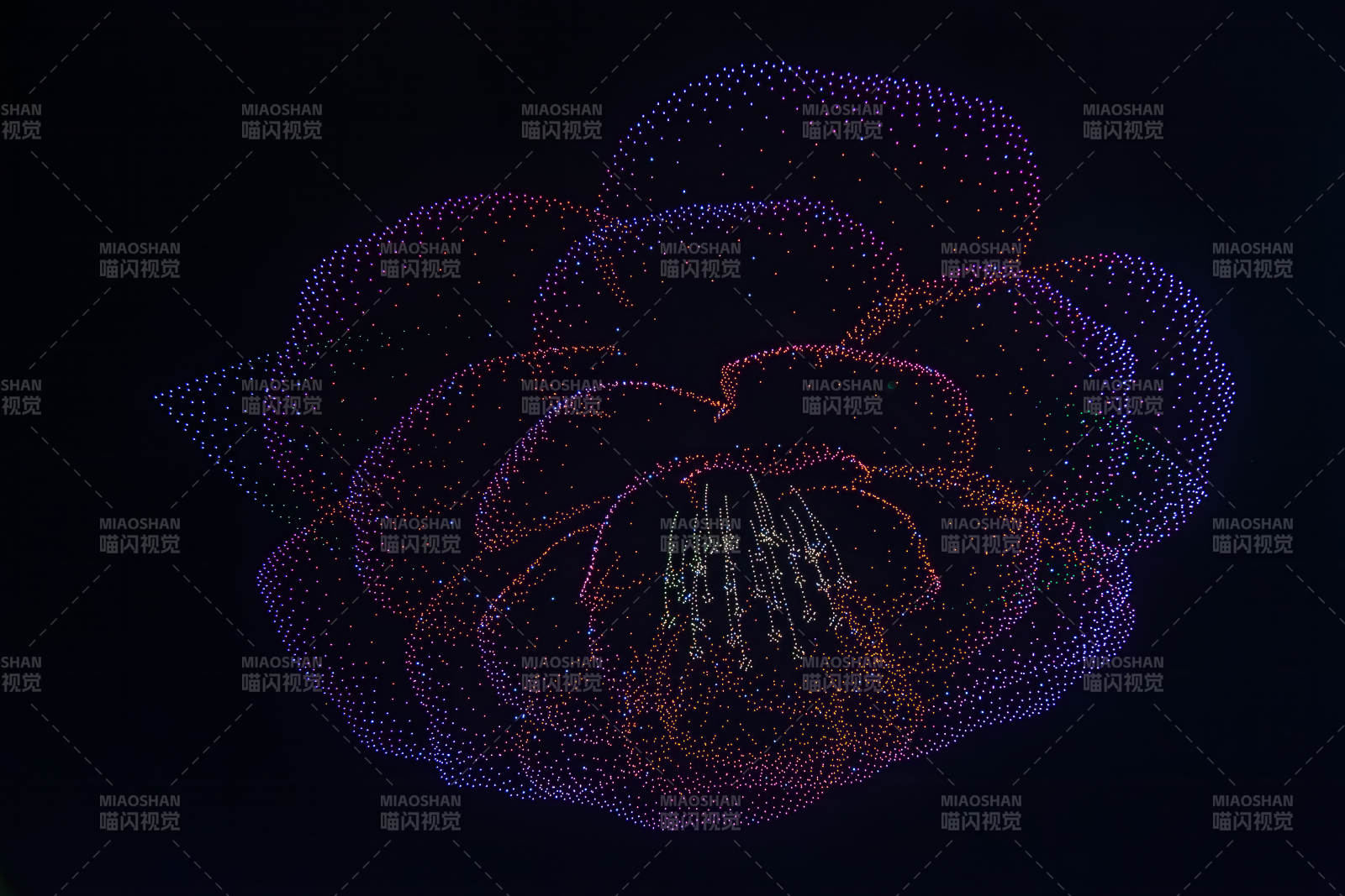 无人机光点玫瑰绽放图片