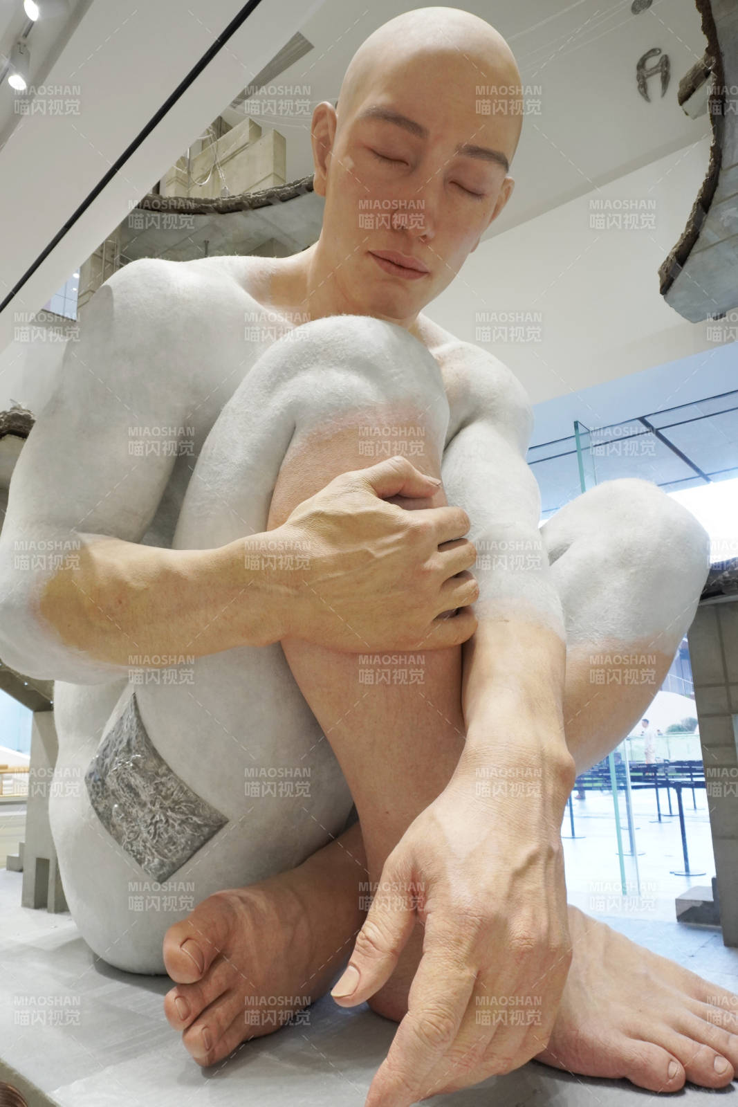 蜷缩的温柔图片