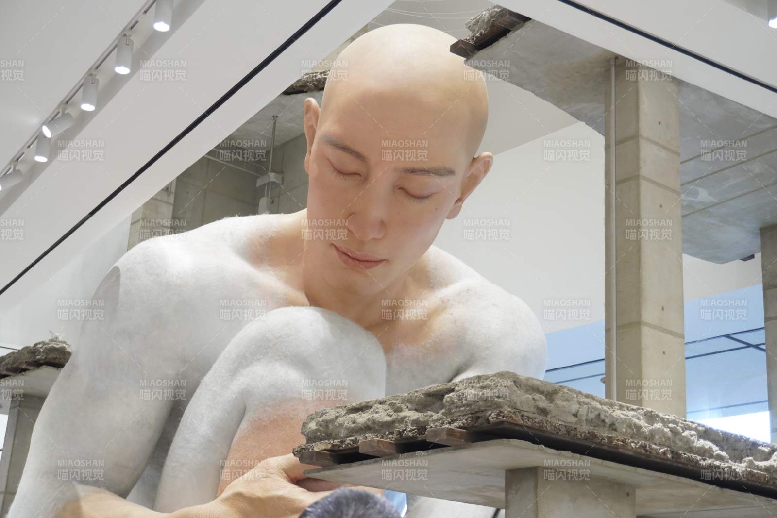 蜷缩的城市图片