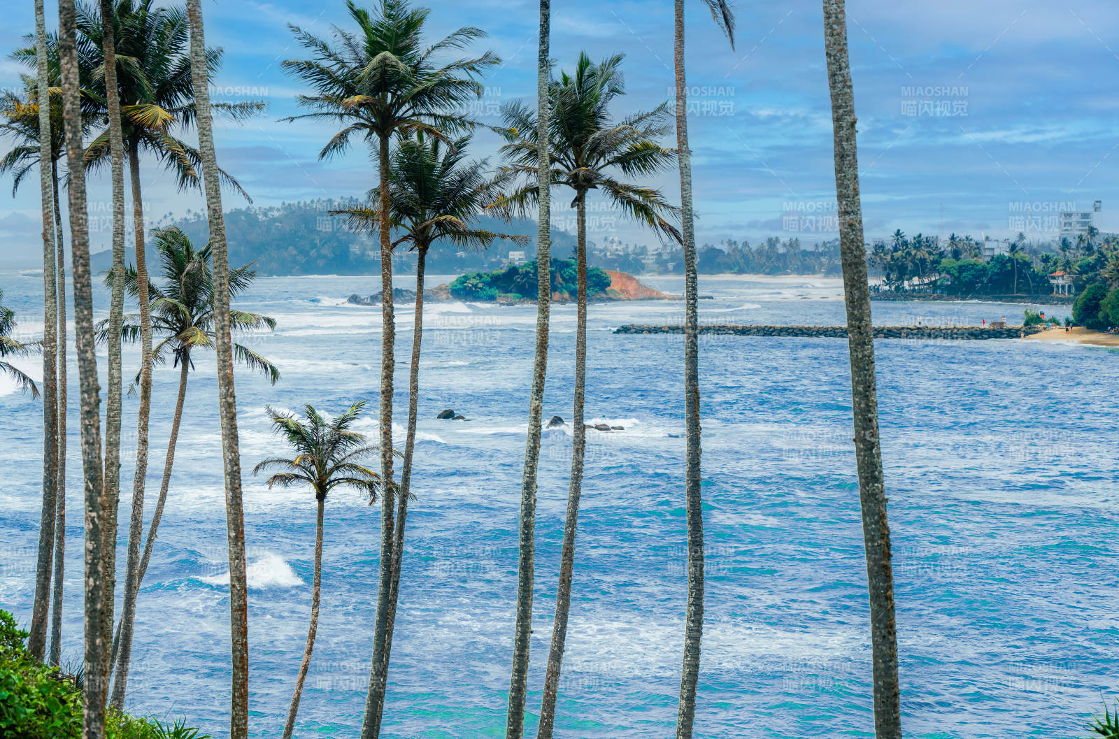 椰林碧海风光图片