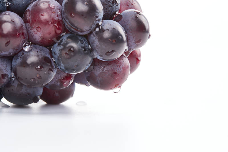 白色背景上摆放的水嫩新鲜紫葡萄图片