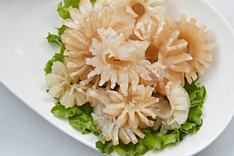 火锅食材牛鞭花图片