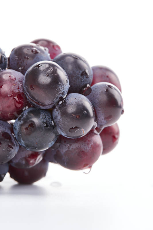 白色背景上摆放的水嫩新鲜紫葡萄图片