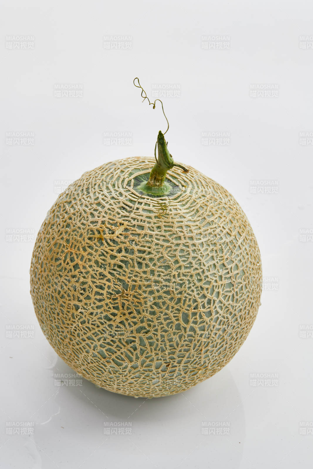 白色背景上摆放的新鲜哈密瓜图片